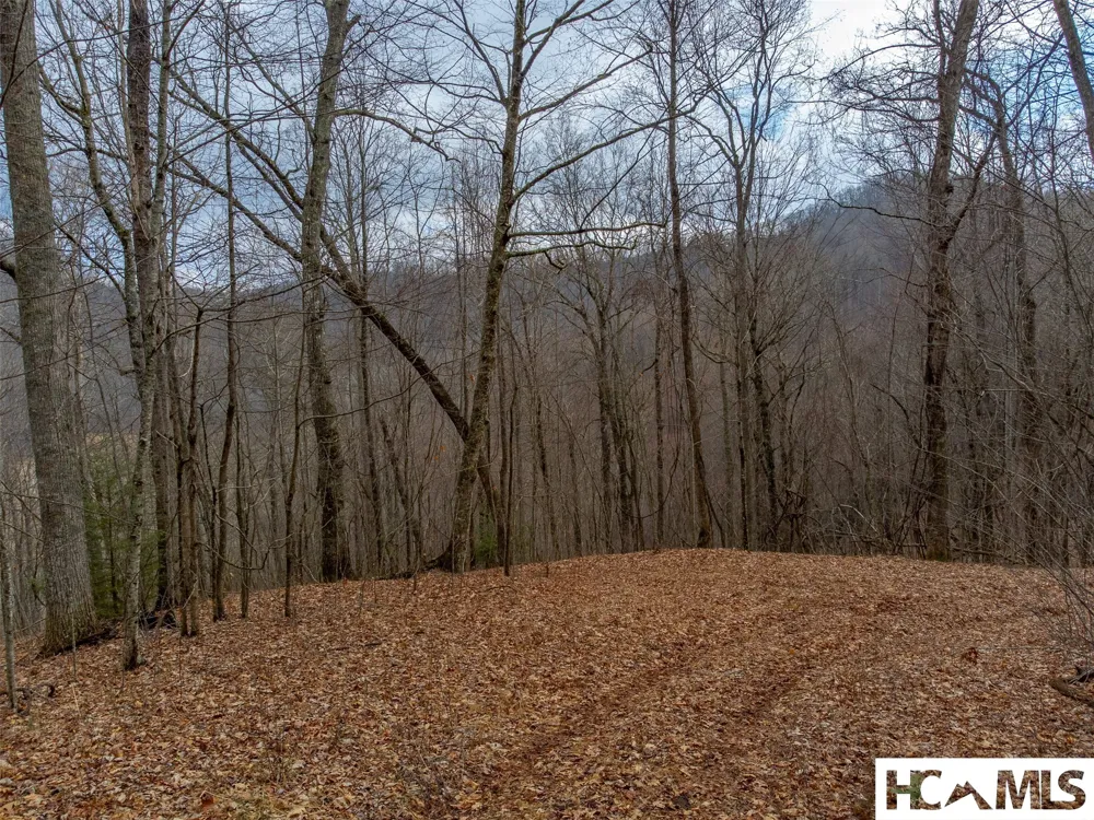1241* Henry Road Franklin, NC 28734