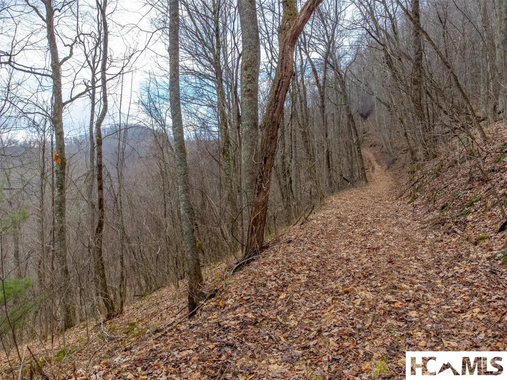 1241* Henry Road Franklin, NC 28734