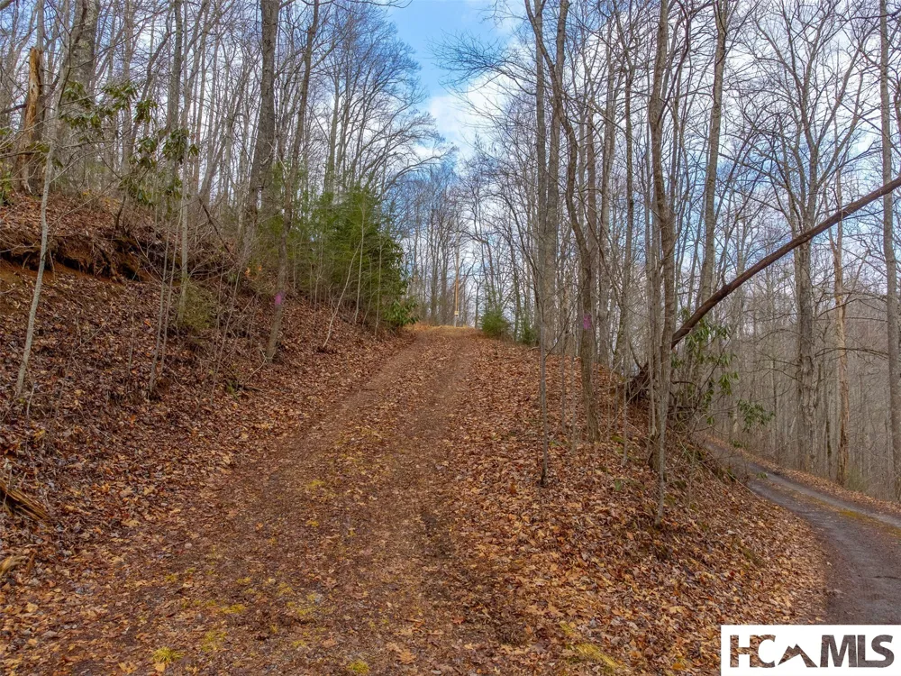 1241* Henry Road Franklin, NC 28734
