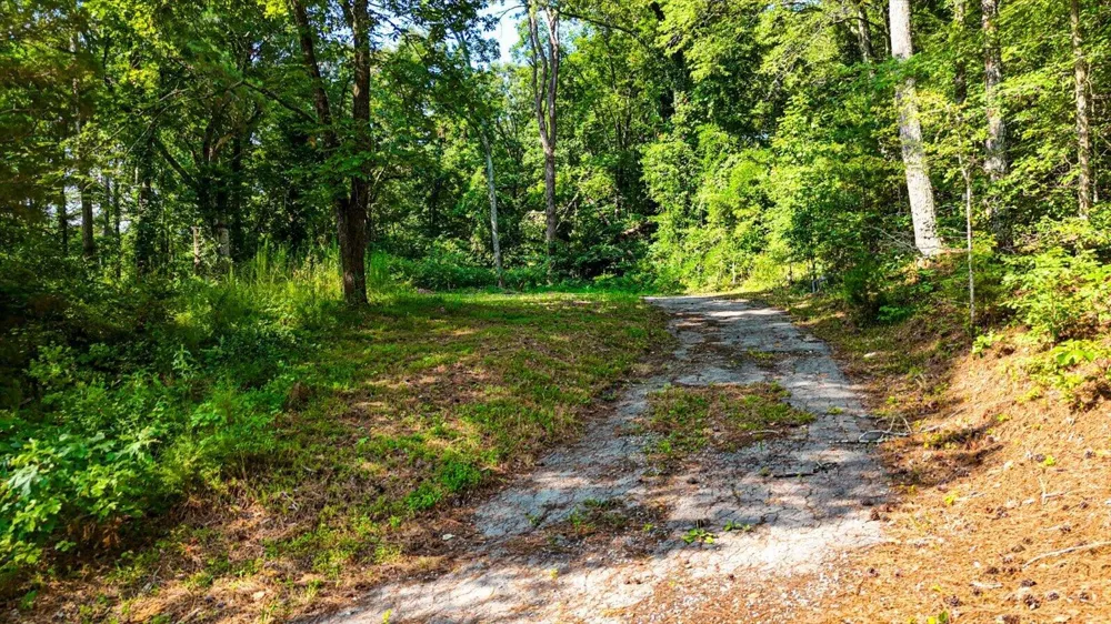 3676 Highway Trion Highway LaFayette, GA 30728