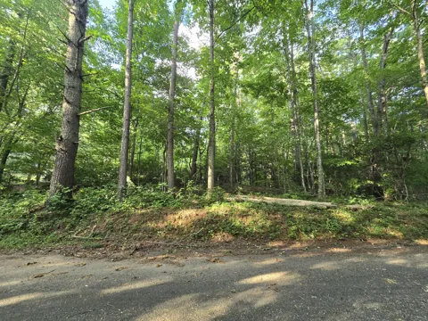 Colwell Church Rd
