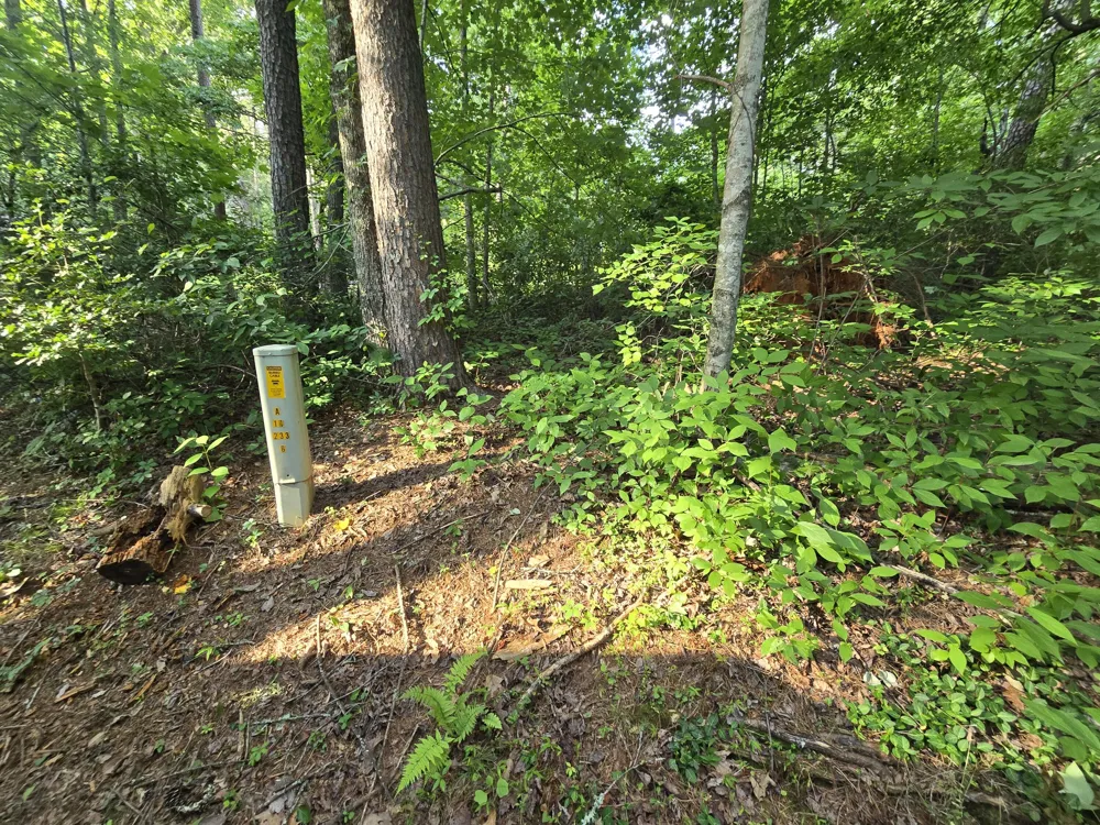 Colwell Church Rd Epworth, GA 30541