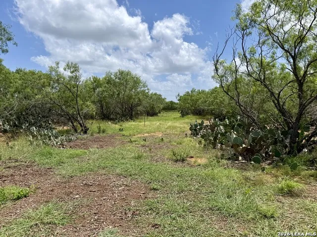 2253 County Road 332 Charlotte, TX 78011