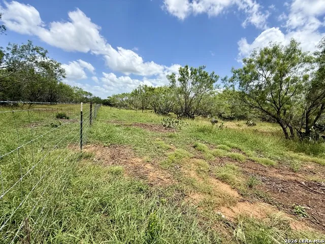 2253 County Road 332 Charlotte, TX 78011
