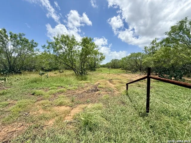 2253 County Road 332 Charlotte, TX 78011