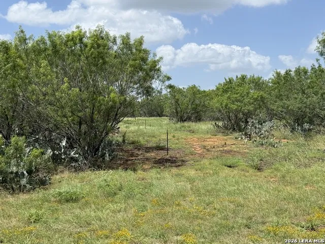 2253 County Road 332 Charlotte, TX 78011