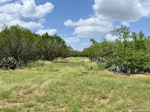 2253 County Road 332 Charlotte, TX 78011