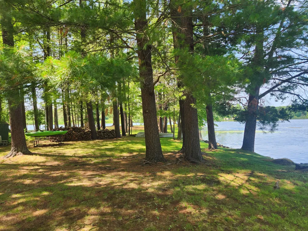 3473 Shore Drive Orient Township, MI 49679
