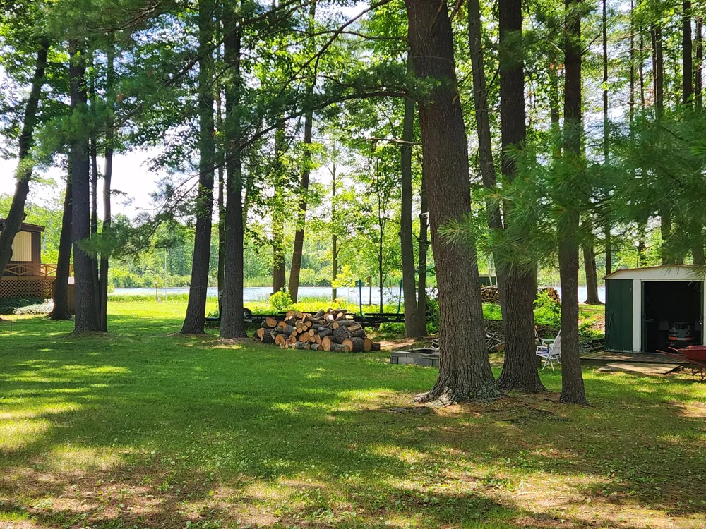 3473 Shore Drive Orient Township, MI 49679
