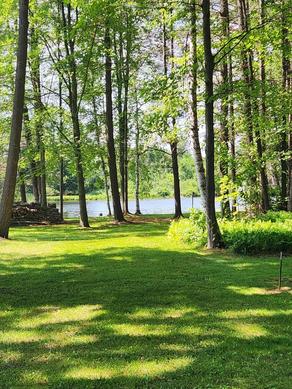 3473 Shore Drive Orient Township, MI 49679