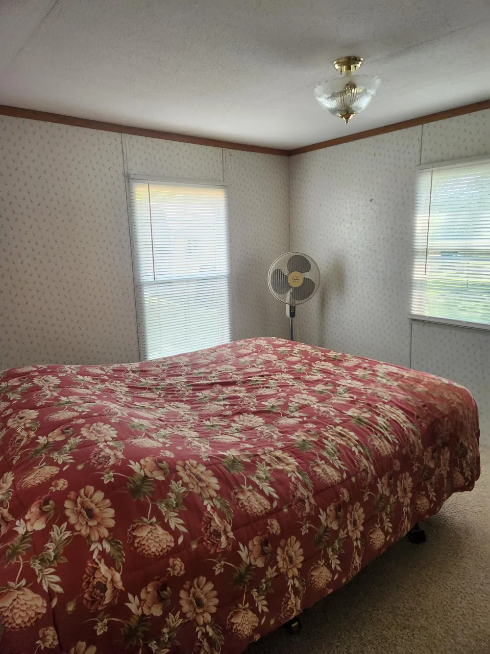3473 Shore Drive Orient Township, MI 49679
