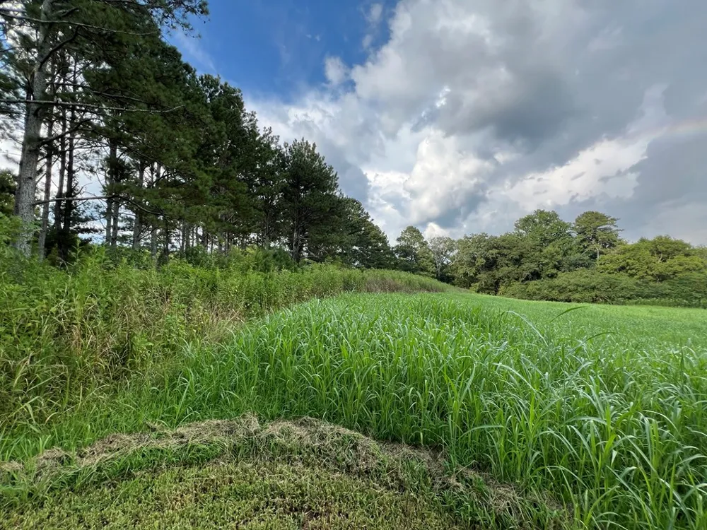 0 W Highway 136 Talking Rock, GA 30175
