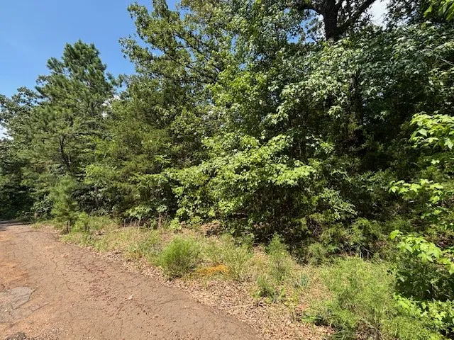 Croton Lane Mount Vernon, TX 75457