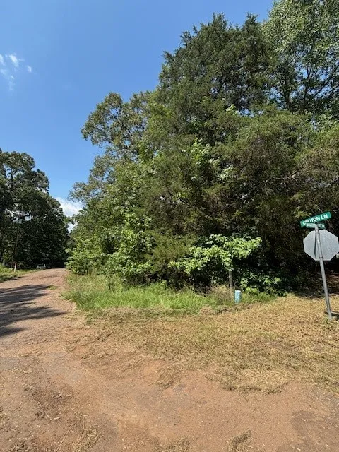 Croton Lane Mount Vernon, TX 75457