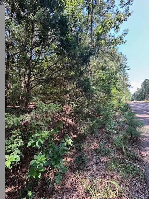 Croton Lane Mount Vernon, TX 75457