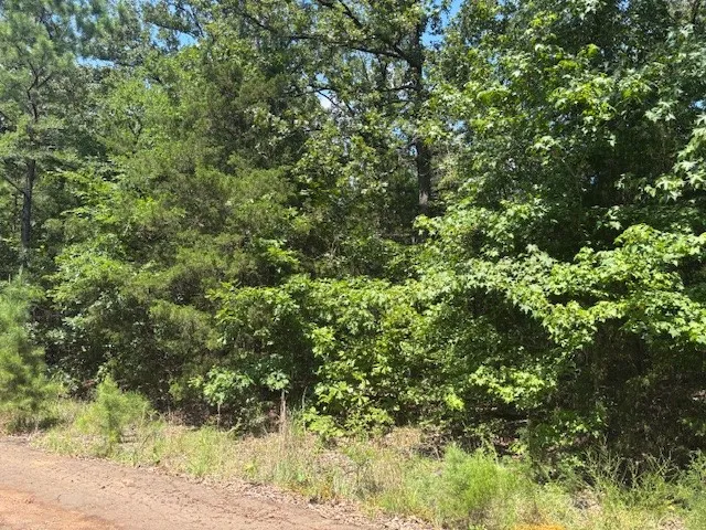 Croton Lane Mount Vernon, TX 75457