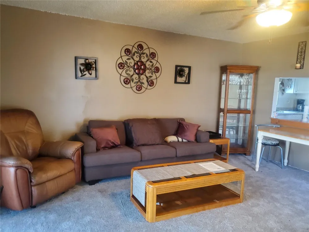 7701 STARKEY ROAD #316 Seminole, FL 33777