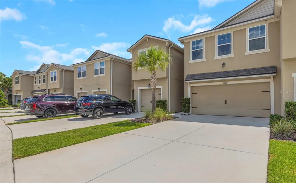 14203 DAMSELFLY DRIVE Tampa, FL 33625