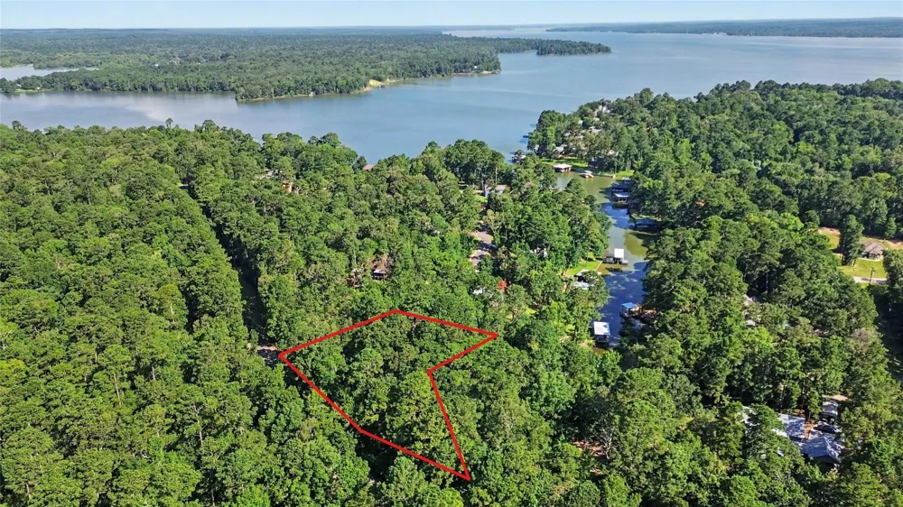 20 Lower Cove Drive Point Blank, TX 77364