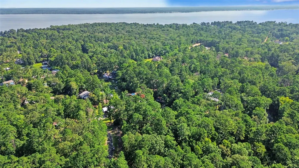 20 Lower Cove Drive Point Blank, TX 77364