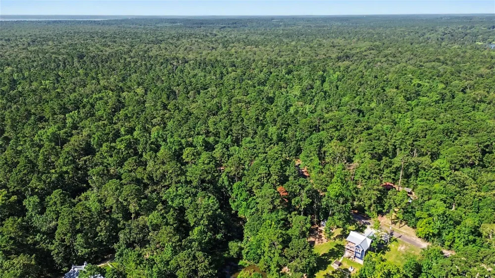 20 Lower Cove Drive Point Blank, TX 77364