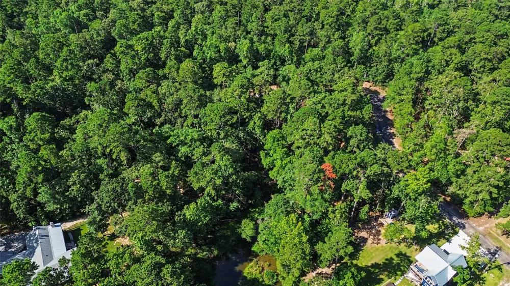 20 Lower Cove Drive Point Blank, TX 77364