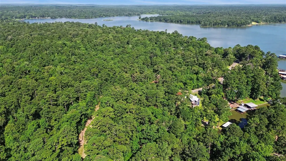 20 Lower Cove Drive Point Blank, TX 77364