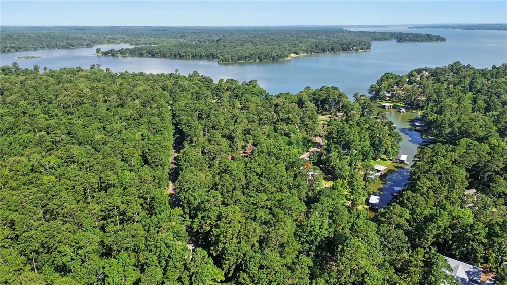 20 Lower Cove Drive Point Blank, TX 77364