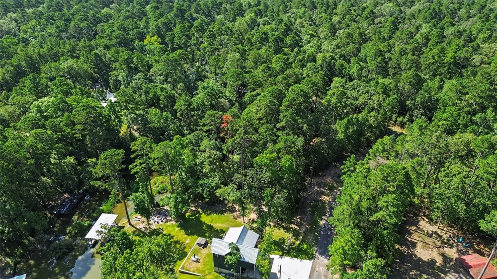 20 Lower Cove Drive Point Blank, TX 77364