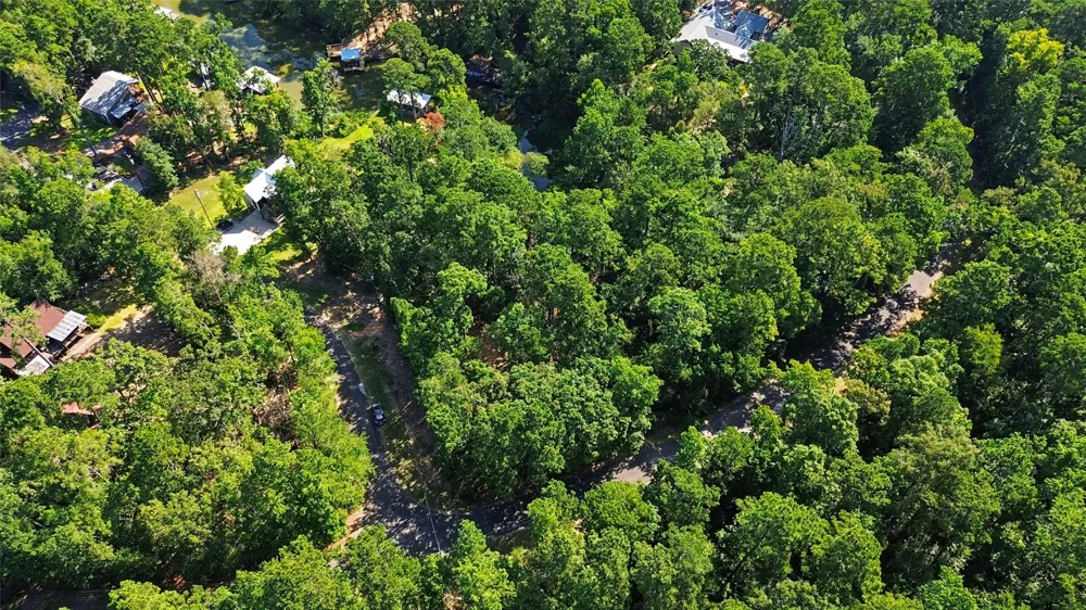 20 Lower Cove Drive Point Blank, TX 77364