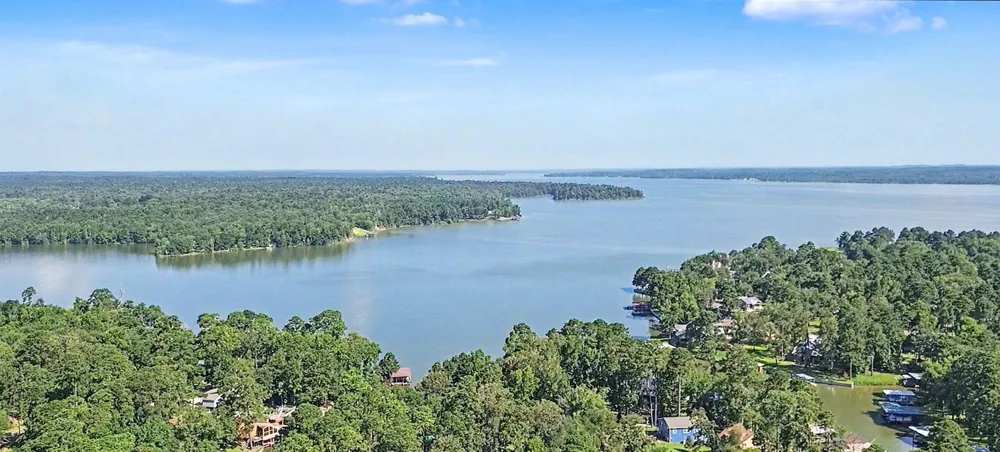 20 Lower Cove Drive Point Blank, TX 77364