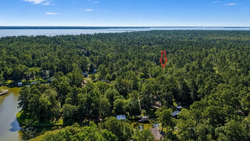 20 Lower Cove Drive Point Blank, TX 77364