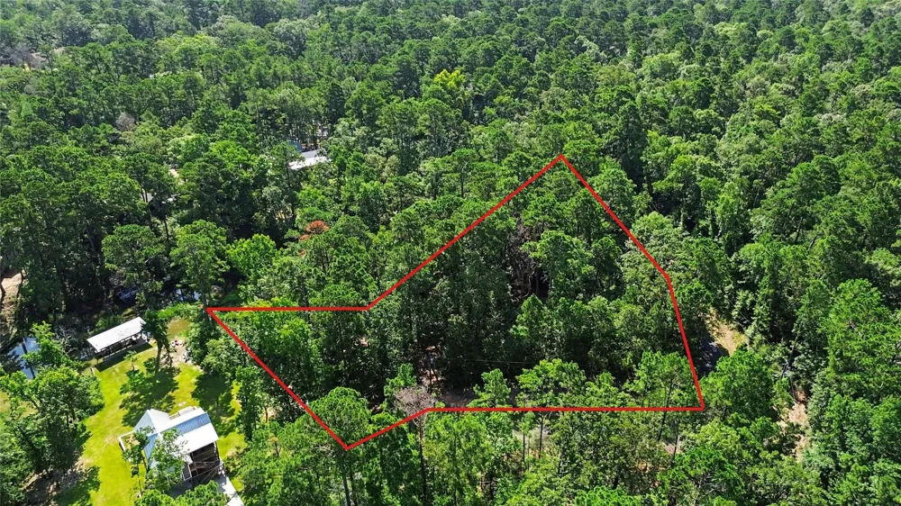 20 Lower Cove Drive Point Blank, TX 77364
