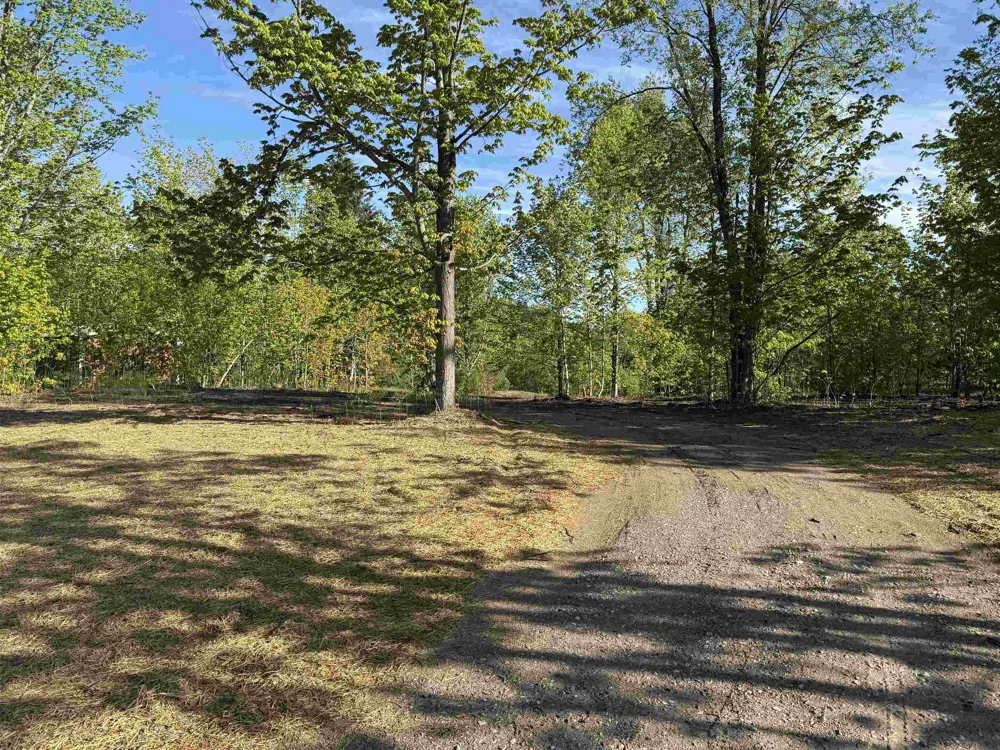 1007 E Solaris Way Kasson Township, MI 49664