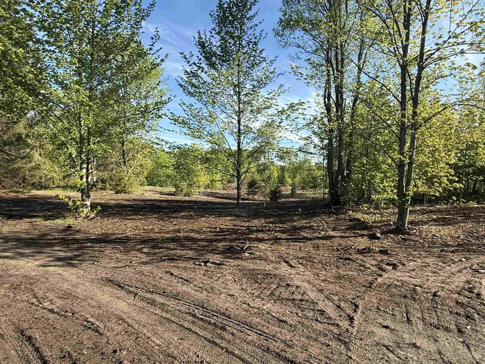 1007 E Solaris Way Kasson Township, MI 49664