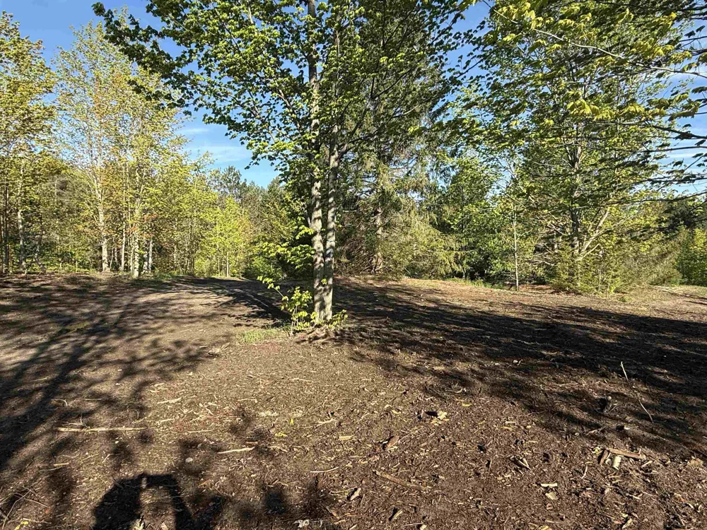 1007 E Solaris Way Kasson Township, MI 49664