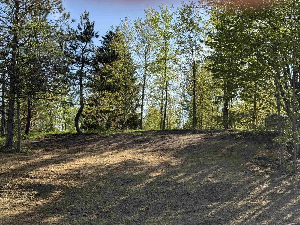 1007 E Solaris Way Kasson Township, MI 49664