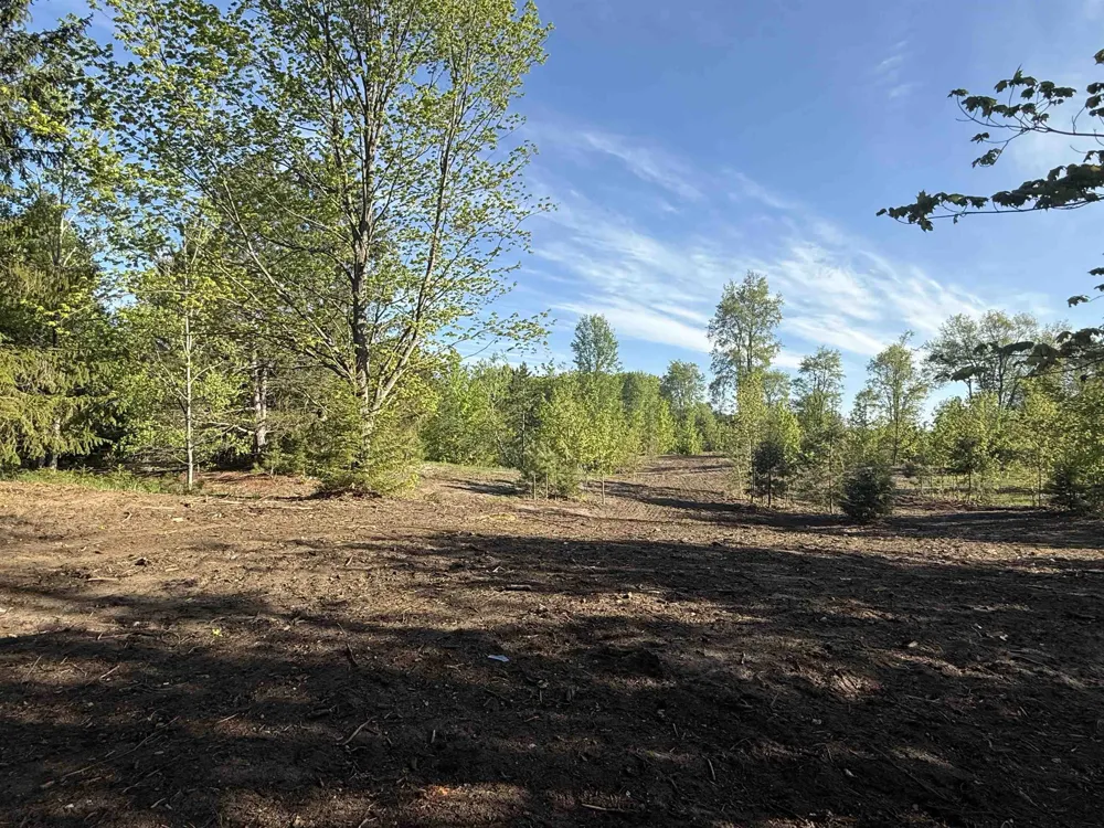 1007 E Solaris Way Kasson Township, MI 49664