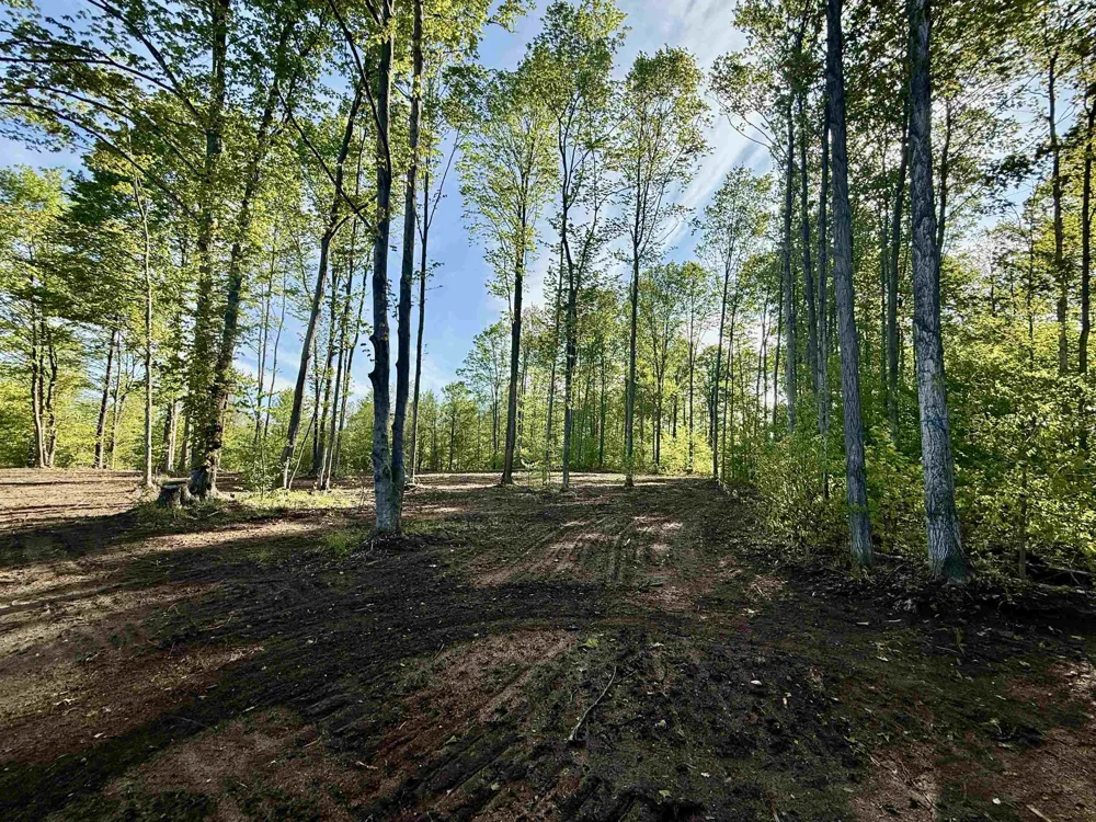 1155 E Solaris Way Kasson Township, MI 49664