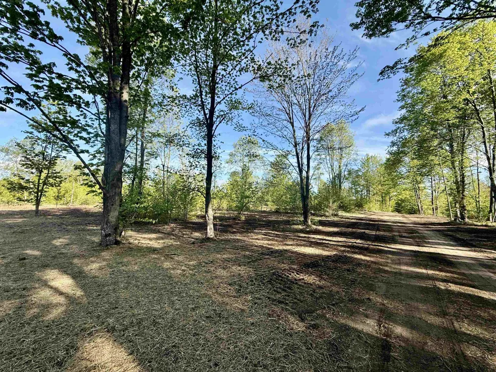 1155 E Solaris Way Kasson Township, MI 49664