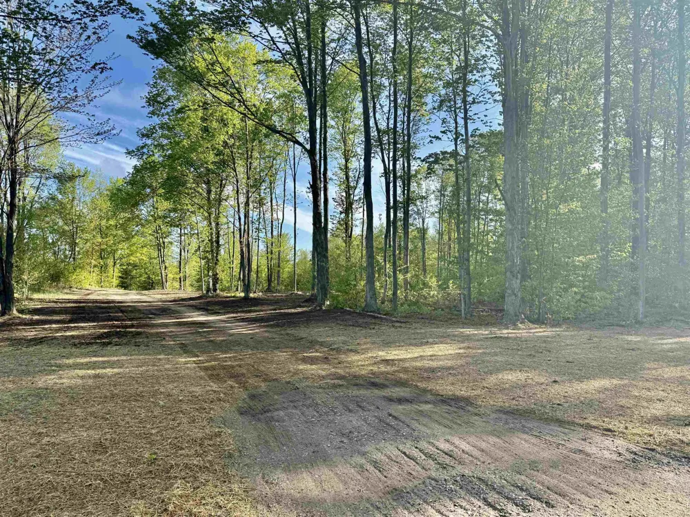 1155 E Solaris Way Kasson Township, MI 49664