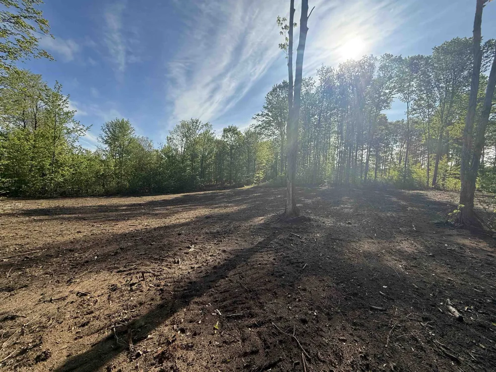 1155 E Solaris Way Kasson Township, MI 49664
