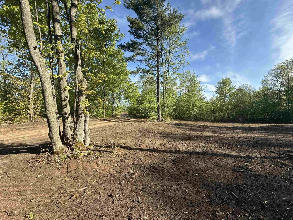 1155 E Solaris Way Kasson Township, MI 49664