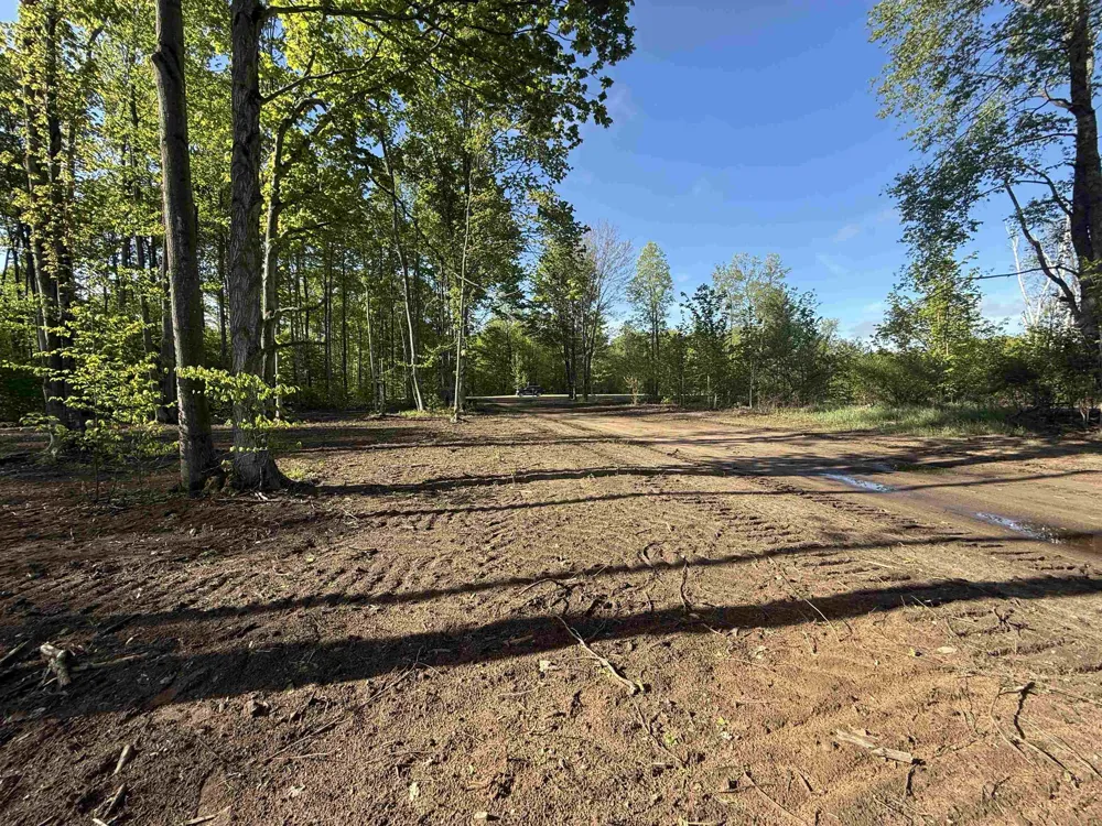 1155 E Solaris Way Kasson Township, MI 49664