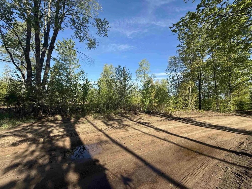 1155 E Solaris Way Kasson Township, MI 49664