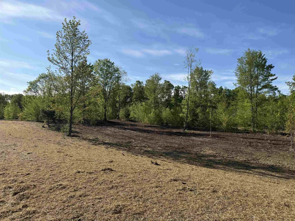 1060 E Solaris Way Kasson Township, MI 49664