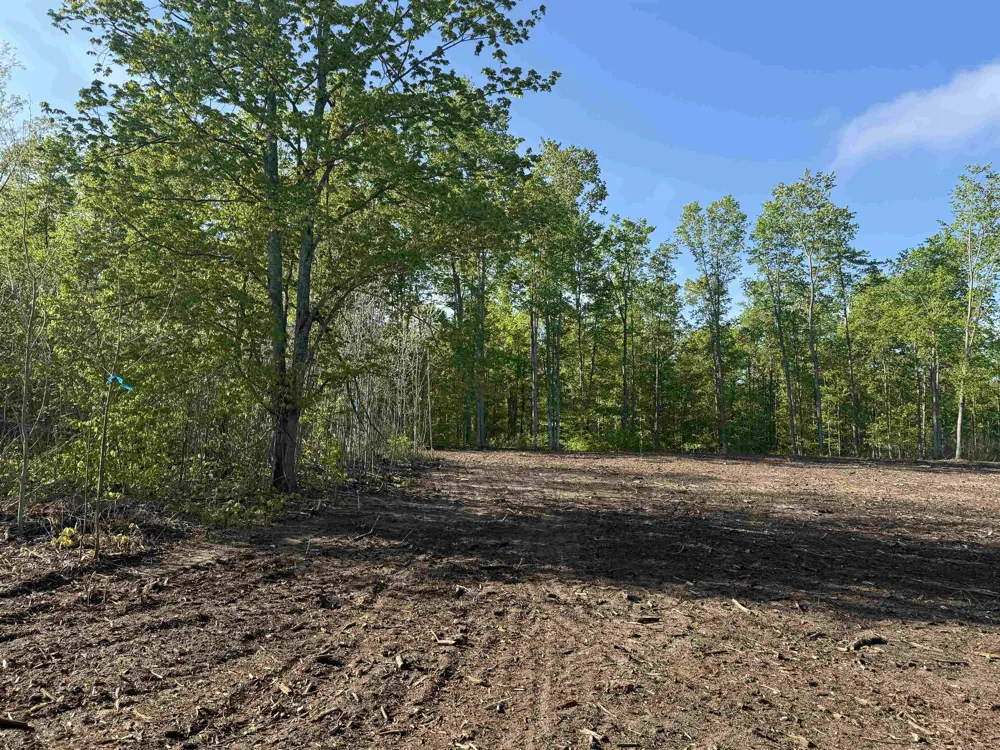 1060 E Solaris Way Kasson Township, MI 49664
