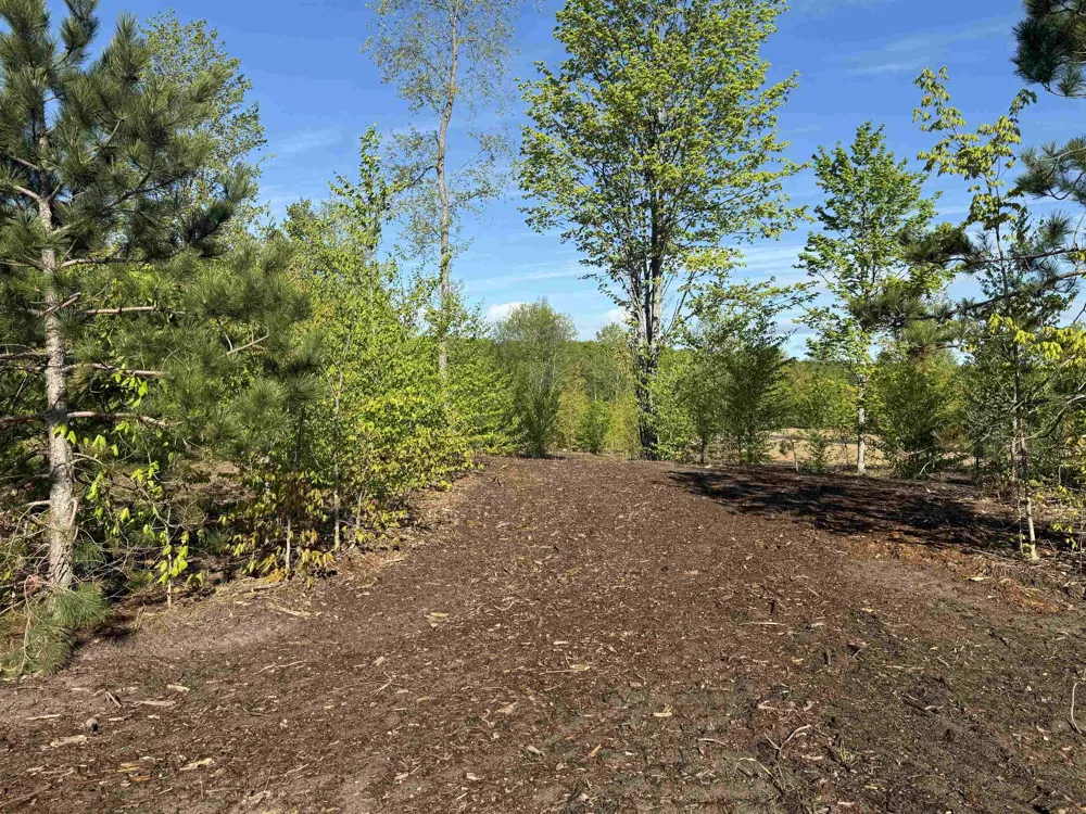 1060 E Solaris Way Kasson Township, MI 49664