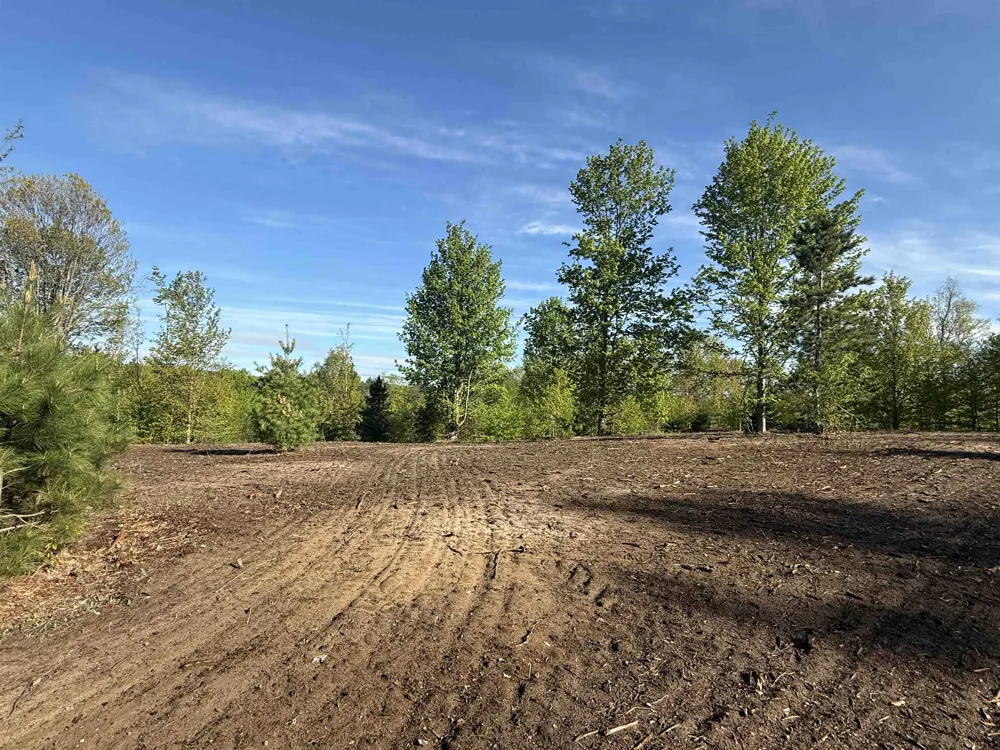 1029 E Solaris Way Kasson Township, MI 49664