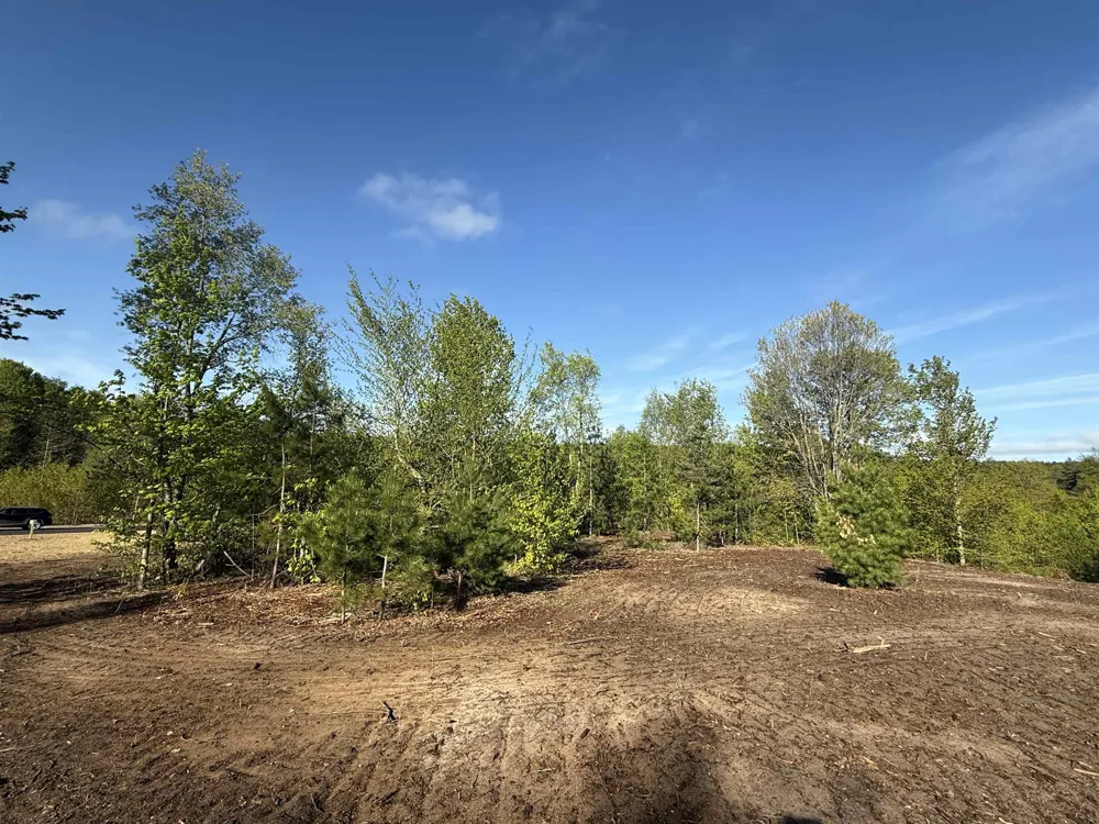 1029 E Solaris Way Kasson Township, MI 49664